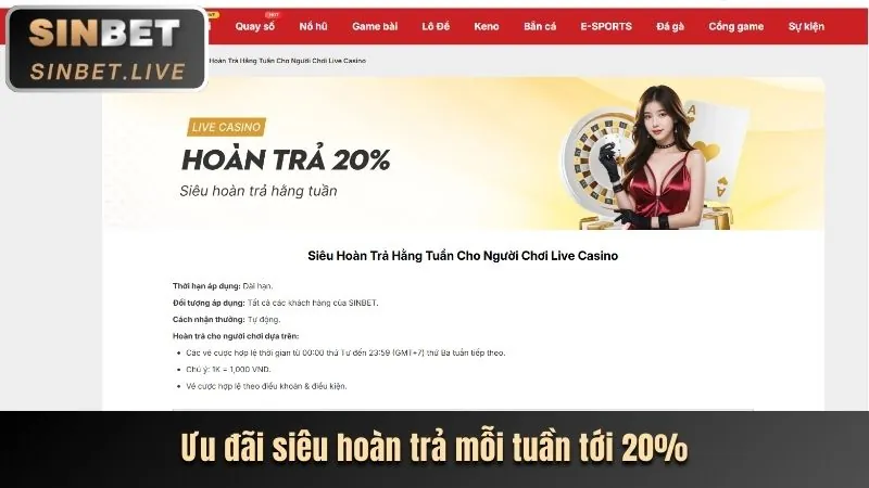 Đồ họa minh họa các cấp độ VIP của game EV99